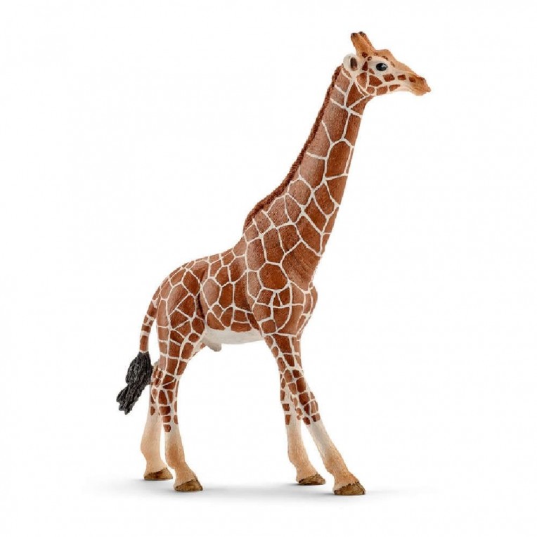 Schleich Giraffe, Male (SC14749)