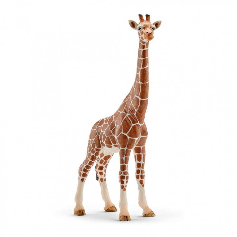 Schleich Giraffe, Female (SC14750)