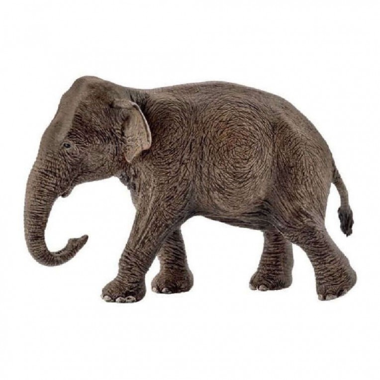 Schleich Asian Elephant Female (SC14753)