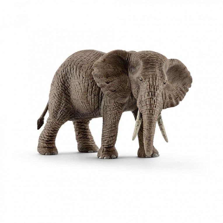 Schleich Ελέφαντας Αφρικανικός Θηλυκός