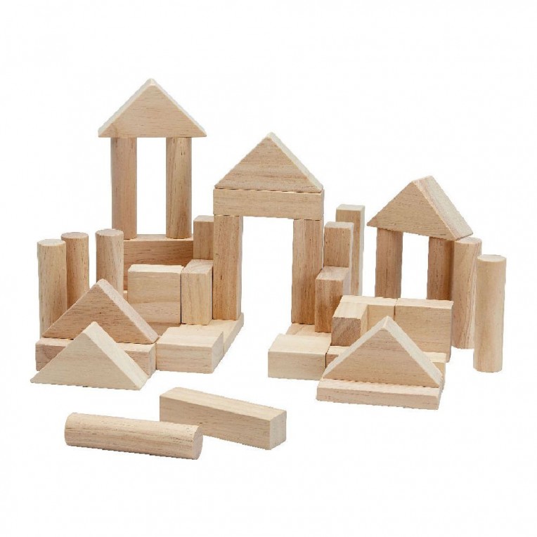 Plan Toys 40 Unit Blocks Natural...