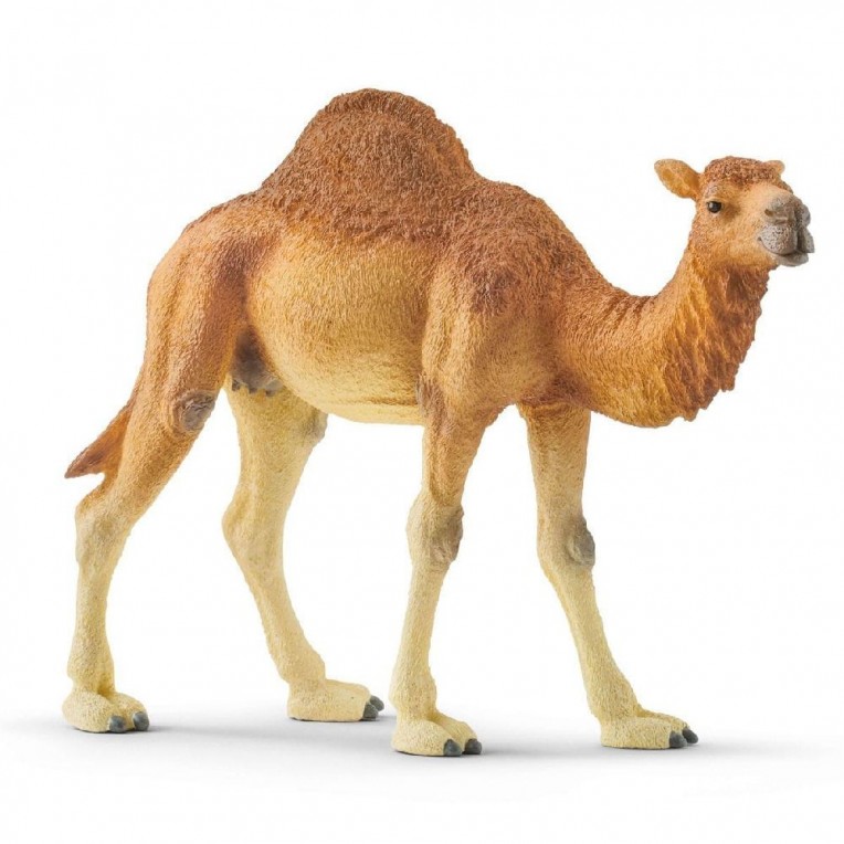Schleich Αραβική Καμήλα (SC14832)