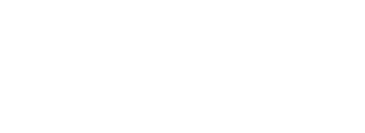 wolt delivery logo white